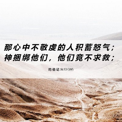 Picture 06 - 约 伯 记 36:13 CUVS - 那 心 中 不 敬 虔 的 人 积 蓄 怒 气 - Bible Verse Picture