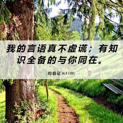 Picture 06 - 约 伯 记 36:4 CUVS - 我 的 言 语 真 不 虚 谎 ； 有 知 识 - Bible Verse Picture