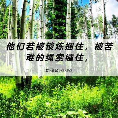 Picture 06 - 约 伯 记 36:8 CUVS - 他 们 若 被 锁 炼 捆 住 ， 被 苦 难 - Bible Verse Picture