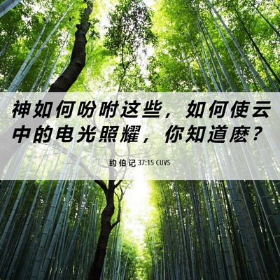 Picture 06 - 约 伯 记 37:15 CUVS - 神 如 何 吩 咐 这 些 ， 如 何 使 云 - Bible Verse Picture
