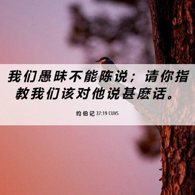 Picture 06 - 约 伯 记 37:19 CUVS - 我 们 愚 昧 不 能 陈 说 ； 请 你 指 - Bible Verse Picture
