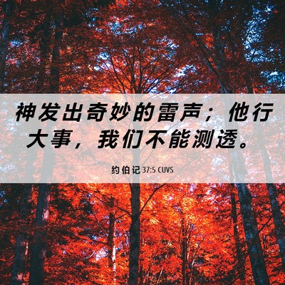 Picture 06 - 约 伯 记 37:5 CUVS - 神 发 出 奇 妙 的 雷 声 ； 他 行 大 - Bible Verse Picture