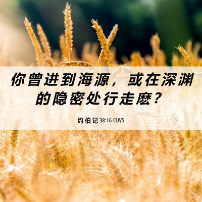 Picture 06 - 约 伯 记 38:16 CUVS - 你 曾 进 到 海 源 ， 或 在 深 渊 的 - Bible Verse Picture
