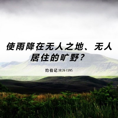 Picture 06 - 约 伯 记 38:26 CUVS - 使 雨 降 在 无 人 之 地 、 无 人 居 - Bible Verse Picture