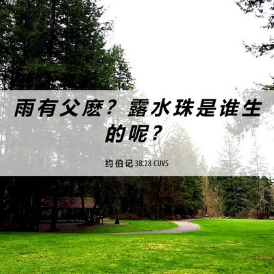 Picture 06 - 约 伯 记 38:28 CUVS - 雨 有 父 麽 ？ 露 水 珠 是 谁 生 的 - Bible Verse Picture