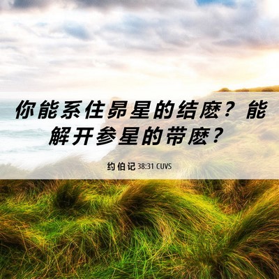 Picture 06 - 约 伯 记 38:31 CUVS - 你 能 系 住 昴 星 的 结 麽 ？ 能 解 - Bible Verse Picture