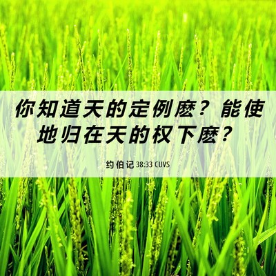 Picture 06 - 约 伯 记 38:33 CUVS - 你 知 道 天 的 定 例 麽 ？ 能 使 地 - Bible Verse Picture