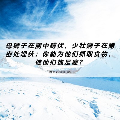 Picture 06 - 约 伯 记 38:39 CUVS - 母 狮 子 在 洞 中 蹲 伏 ， 少 壮 狮 - Bible Verse Picture