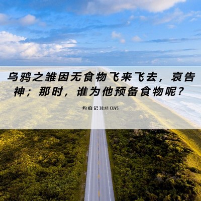 Picture 06 - 约 伯 记 38:41 CUVS - 乌 鸦 之 雏 因 无 食 物 飞 来 飞 去 - Bible Verse Picture
