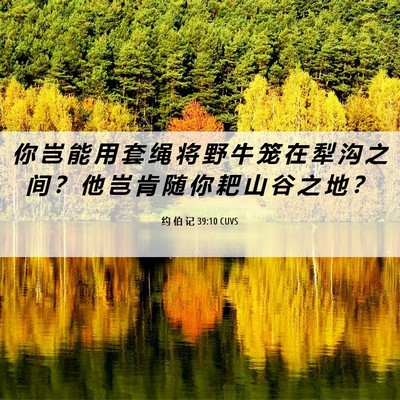 Picture 06 - 约 伯 记 39:10 CUVS - 你 岂 能 用 套 绳 将 野 牛 笼 在 犁 - Bible Verse Picture