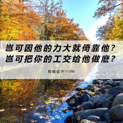 Picture 06 - 约 伯 记 39:11 CUVS - 岂 可 因 他 的 力 大 就 倚 靠 他 ？ - Bible Verse Picture