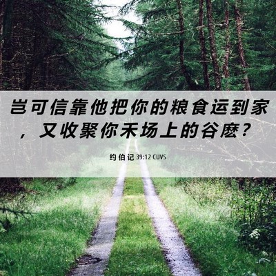 Picture 06 - 约 伯 记 39:12 CUVS - 岂 可 信 靠 他 把 你 的 粮 食 运 到 - Bible Verse Picture