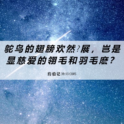 Picture 06 - 约 伯 记 39:13 CUVS - 鸵 鸟 的 翅 膀 欢 然 ? 展 ， 岂 是 显 - Bible Verse Picture