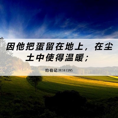 Picture 06 - 约 伯 记 39:14 CUVS - 因 他 把 蛋 留 在 地 上 ， 在 尘 土 - Bible Verse Picture