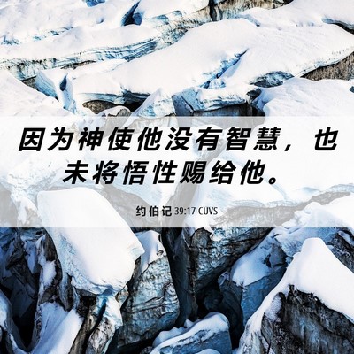 Picture 06 - 约 伯 记 39:17 CUVS - 因 为 神 使 他 没 有 智 慧 ， 也 未 - Bible Verse Picture