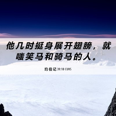 Picture 06 - 约 伯 记 39:18 CUVS - 他 几 时 挺 身 展 开 翅 膀 ， 就 嗤 - Bible Verse Picture