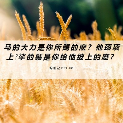 Picture 06 - 约 伯 记 39:19 CUVS - 马 的 大 力 是 你 所 赐 的 麽 ？ 他 - Bible Verse Picture