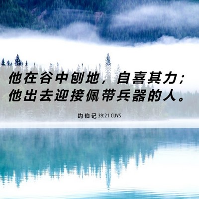 Picture 06 - 约 伯 记 39:21 CUVS - 他 在 谷 中 刨 地 ， 自 喜 其 力 ； - Bible Verse Picture