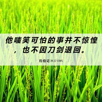 Picture 06 - 约 伯 记 39:22 CUVS - 他 嗤 笑 可 怕 的 事 并 不 惊 惶 ， - Bible Verse Picture