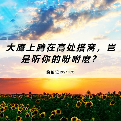 Picture 06 - 约 伯 记 39:27 CUVS - 大 鹰 上 腾 在 高 处 搭 窝 ， 岂 是 - Bible Verse Picture