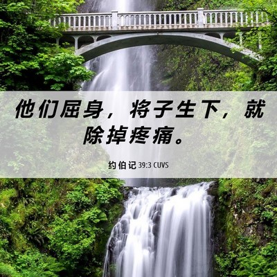 Picture 06 - 约 伯 记 39:3 CUVS - 他 们 屈 身 ， 将 子 生 下 ， 就 除 - Bible Verse Picture