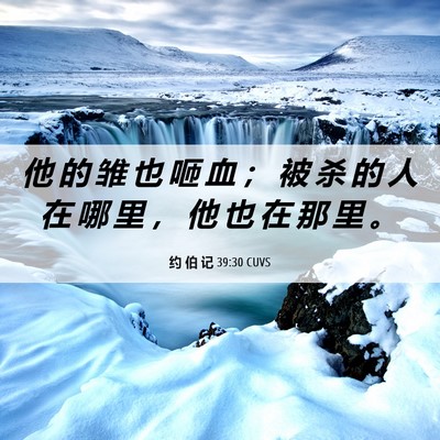 Picture 06 - 约 伯 记 39:30 CUVS - 他 的 雏 也 咂 血 ； 被 杀 的 人 在 - Bible Verse Picture