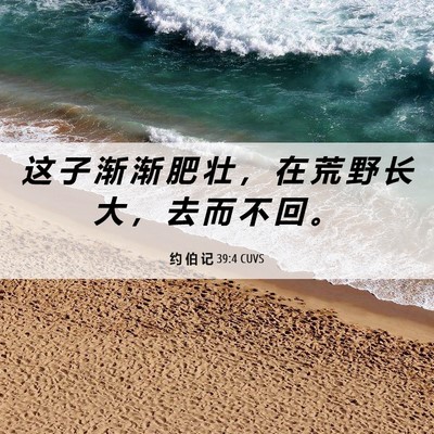 Picture 06 - 约 伯 记 39:4 CUVS - 这 子 渐 渐 肥 壮 ， 在 荒 野 长 大 - Bible Verse Picture