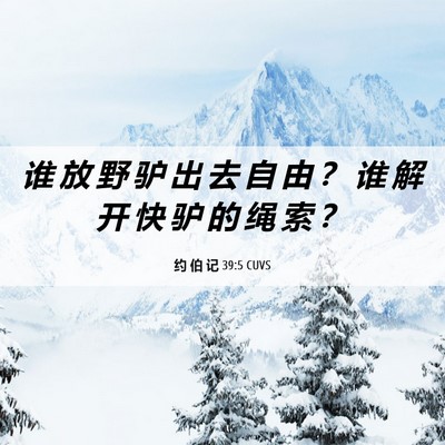 Picture 06 - 约 伯 记 39:5 CUVS - 谁 放 野 驴 出 去 自 由 ？ 谁 解 开 - Bible Verse Picture