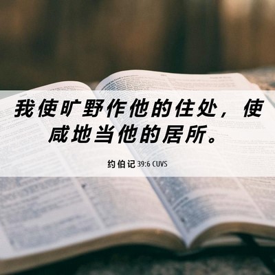 Picture 06 - 约 伯 记 39:6 CUVS - 我 使 旷 野 作 他 的 住 处 ， 使 咸 - Bible Verse Picture