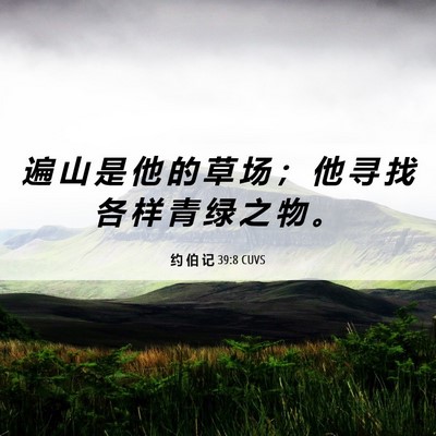 Picture 06 - 约 伯 记 39:8 CUVS - 遍 山 是 他 的 草 场 ； 他 寻 找 各 - Bible Verse Picture