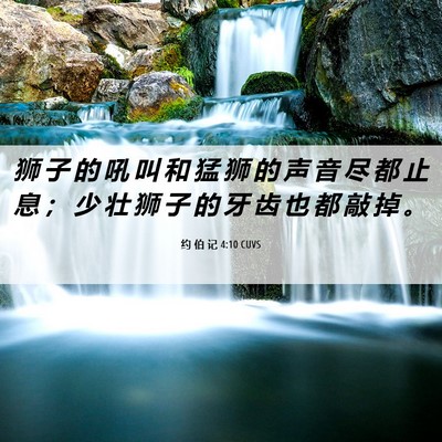Picture 06 - 约 伯 记 4:10 CUVS - 狮 子 的 吼 叫 和 猛 狮 的 声 音 尽 - Bible Verse Picture