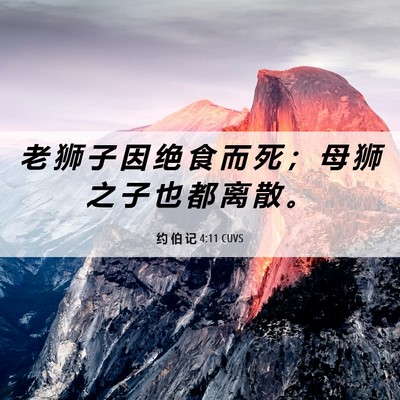 Picture 06 - 约 伯 记 4:11 CUVS - 老 狮 子 因 绝 食 而 死 ； 母 狮 之 - Bible Verse Picture