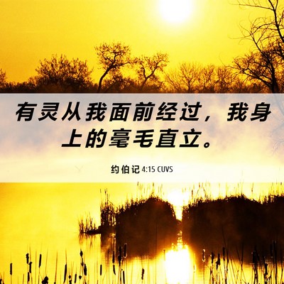 Picture 06 - 约 伯 记 4:15 CUVS - 有 灵 从 我 面 前 经 过 ， 我 身 上 - Bible Verse Picture