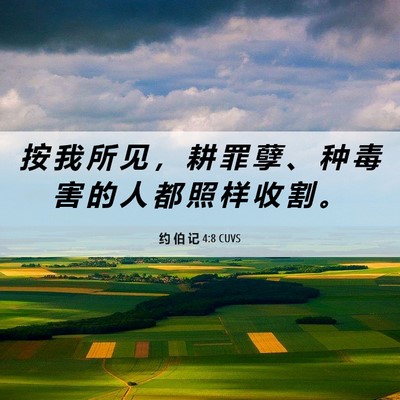 Picture 06 - 约 伯 记 4:8 CUVS - 按 我 所 见 ， 耕 罪 孽 、 种 毒 害 - Bible Verse Picture