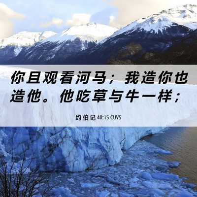 Picture 06 - 约 伯 记 40:15 CUVS - 你 且 观 看 河 马 ； 我 造 你 也 造 - Bible Verse Picture