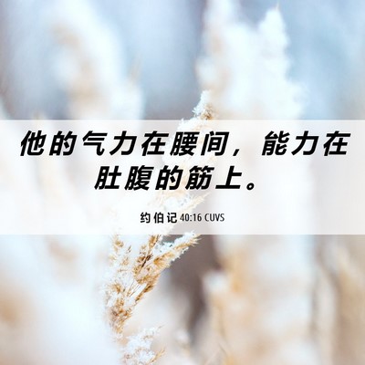 Picture 06 - 约 伯 记 40:16 CUVS - 他 的 气 力 在 腰 间 ， 能 力 在 肚 - Bible Verse Picture