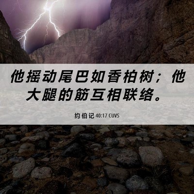 Picture 06 - 约 伯 记 40:17 CUVS - 他 摇 动 尾 巴 如 香 柏 树 ； 他 大 - Bible Verse Picture
