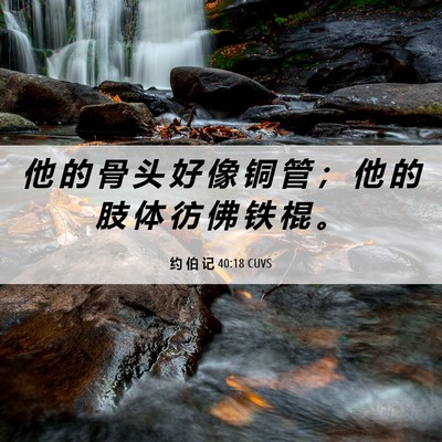 Picture 06 - 约 伯 记 40:18 CUVS - 他 的 骨 头 好 像 铜 管 ； 他 的 肢 - Bible Verse Picture