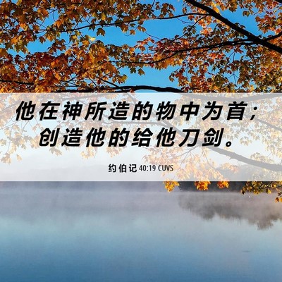 Picture 06 - 约 伯 记 40:19 CUVS - 他 在 神 所 造 的 物 中 为 首 ； 创 - Bible Verse Picture