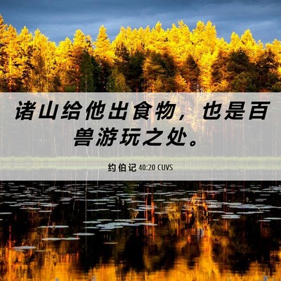 Picture 06 - 约 伯 记 40:20 CUVS - 诸 山 给 他 出 食 物 ， 也 是 百 兽 - Bible Verse Picture