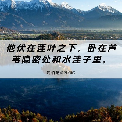 Picture 06 - 约 伯 记 40:21 CUVS - 他 伏 在 莲 叶 之 下 ， 卧 在 芦 苇 - Bible Verse Picture