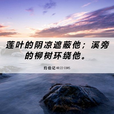 Picture 06 - 约 伯 记 40:22 CUVS - 莲 叶 的 阴 凉 遮 蔽 他 ； 溪 旁 的 - Bible Verse Picture