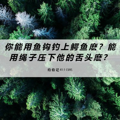 Picture 06 - 约 伯 记 41:1 CUVS - 你 能 用 鱼 钩 钓 上 鳄 鱼 麽 ？ 能 - Bible Verse Picture