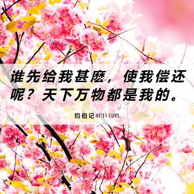 Picture 06 - 约 伯 记 41:11 CUVS - 谁 先 给 我 甚 麽 ， 使 我 偿 还 呢 - Bible Verse Picture