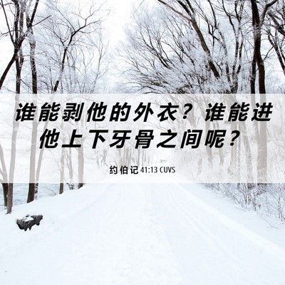 Picture 06 - 约 伯 记 41:13 CUVS - 谁 能 剥 他 的 外 衣 ？ 谁 能 进 他 - Bible Verse Picture