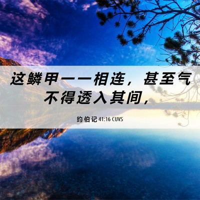 Picture 06 - 约 伯 记 41:16 CUVS - 这 鳞 甲 一 一 相 连 ， 甚 至 气 不 - Bible Verse Picture