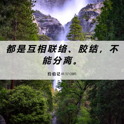 Picture 06 - 约 伯 记 41:17 CUVS - 都 是 互 相 联 络 、 胶 结 ， 不 能 - Bible Verse Picture