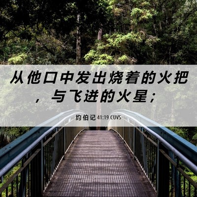 Picture 06 - 约 伯 记 41:19 CUVS - 从 他 口 中 发 出 烧 着 的 火 把 ， - Bible Verse Picture