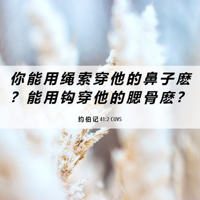 Picture 06 - 约 伯 记 41:2 CUVS - 你 能 用 绳 索 穿 他 的 鼻 子 麽 ？ - Bible Verse Picture