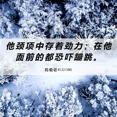 Picture 06 - 约 伯 记 41:22 CUVS - 他 颈 项 中 存 着 劲 力 ； 在 他 面 - Bible Verse Picture